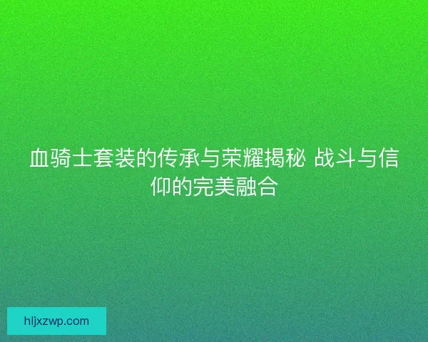 血骑士套装的传承与荣耀揭秘 战斗与信仰的完美融合