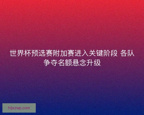 世界杯预选赛附加赛进入关键阶段 各队争夺名额悬念升级